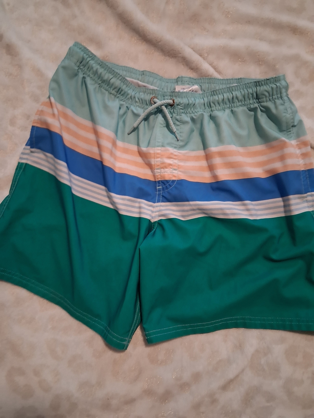 wonder nation Green, Teal & Blue Striped Swim Trunks